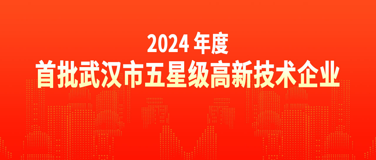 太阳集团www0638荣获“2024年度首批武汉市五星级高新技术企业”荣誉称号